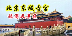 丝袜美女内射中国北京-东城古宫旅游风景区